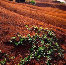 粉丝自制虚幻5版《寂静岭》 游戏焕然一新